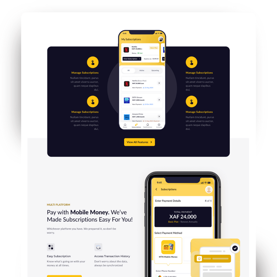 rapidpay website (2)